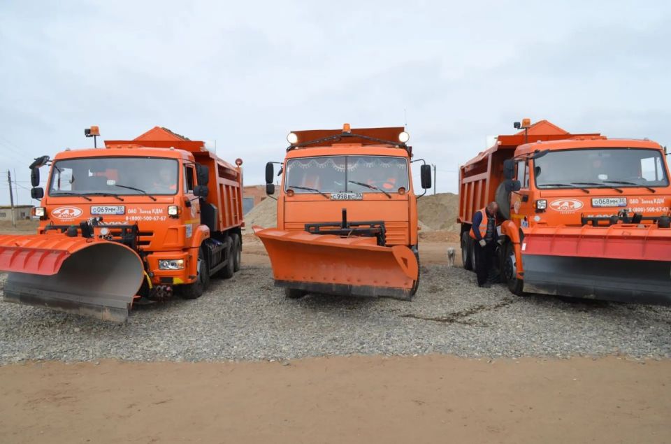 ������������ �� ������������ ������� ��������� 217 ������ �����������