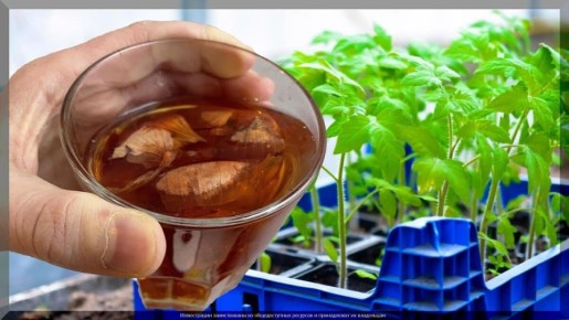 ������ �������: ��� �������� ������ ����� ���������� � �������� ��������� ��� ������ ����