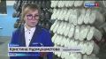 В Астрахани запустят производство новой линейки обуви