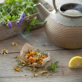 ������ ��������: ��������� ��������� �������� ��� ���������� ���