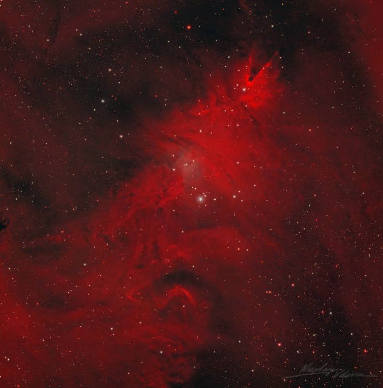 �� ���� ���� ���� ����: ���������� ��������������� ����