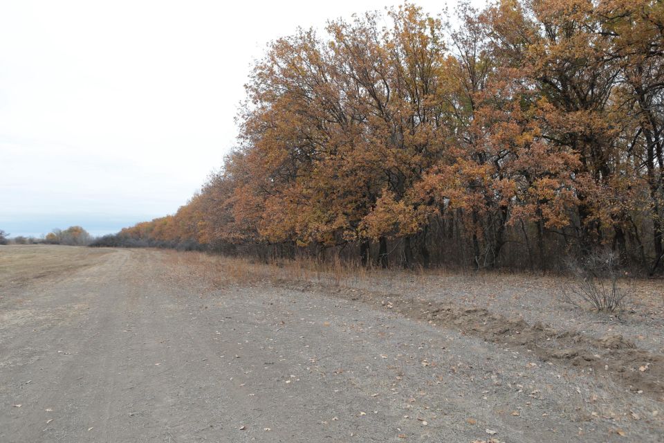 ����������� ������� � ����������� ������������� ����� � ����� ��������� ����� � ����������� ������