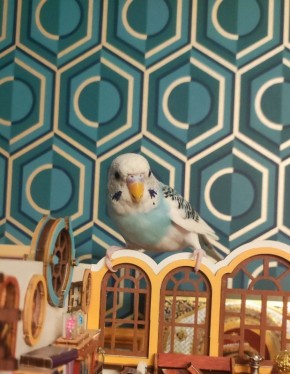 О погоде на завтра. 7 января в Астрахани будет облачно с прояснениями, без существенных осадков