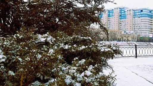Какая погода ждёт астраханцев 8 января