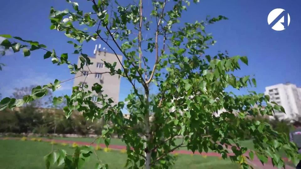 � ������������ �������� ����� �������� �������� �� ���������