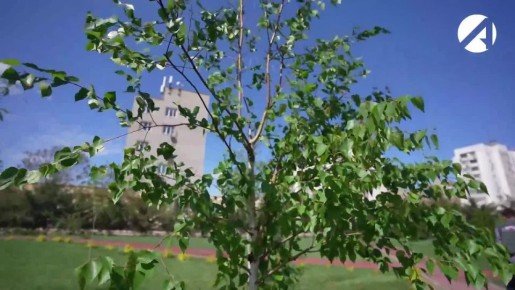 � ������������ �������� ����� �������� �������� �� ���������