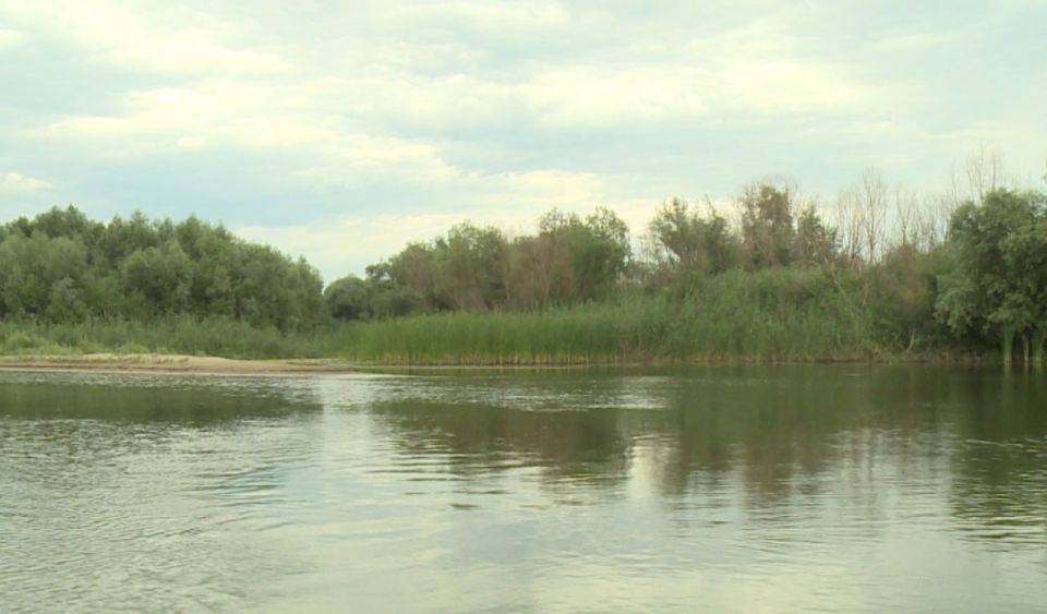 ������������ ��������������� ����������� �������� �������� ������ �����������