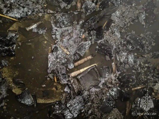 � ������������ ������� ������� � ���� ���� � �������� �� ������