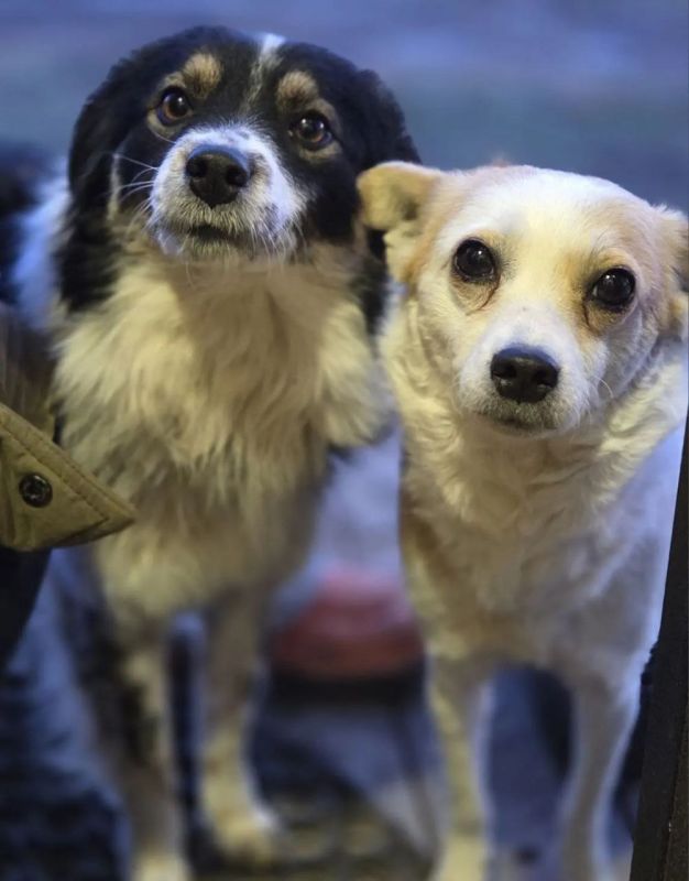 � ������ �� ������. 9 ������ � ��������� ����� ������� � ������������, ��� ������������ �������