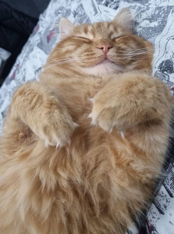 � ������ �� ������. 10 ������ � ��������� ����� ������� � ������������