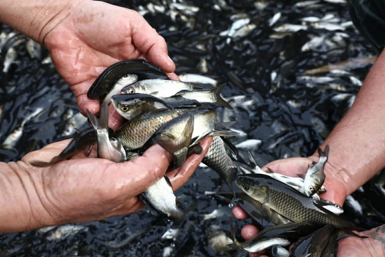 В Астраханской области появилась новая Красная книга В Астраханской области появилась новая Красная книга
