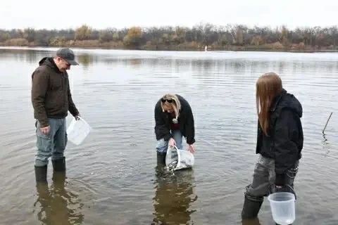 В Астраханской области появилась новая Красная книга В Астраханской области появилась новая Красная книга