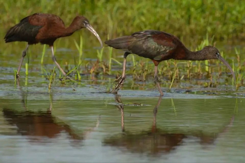 � ������������ ������� ��������� ����� ������� �����