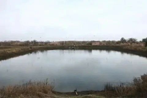 В Астраханской области появилась новая Красная книга В Астраханской области появилась новая Красная книга