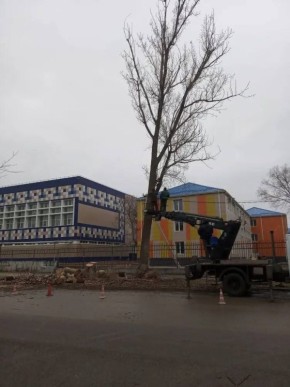 ����� �������: ������ ������������ ����� �� ������������ � � ����������� ���