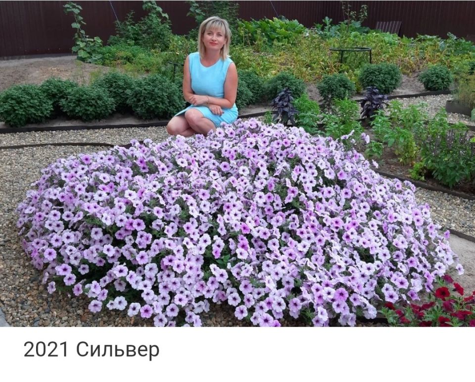 ������� ����� �� ���������