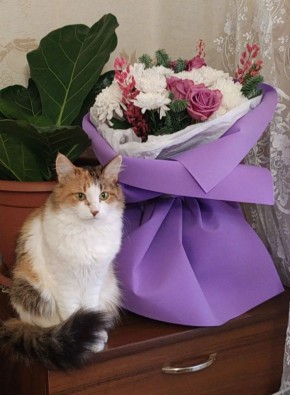 � ������ �� ������. 12 ������ � ��������� ������������ ���������� ����������