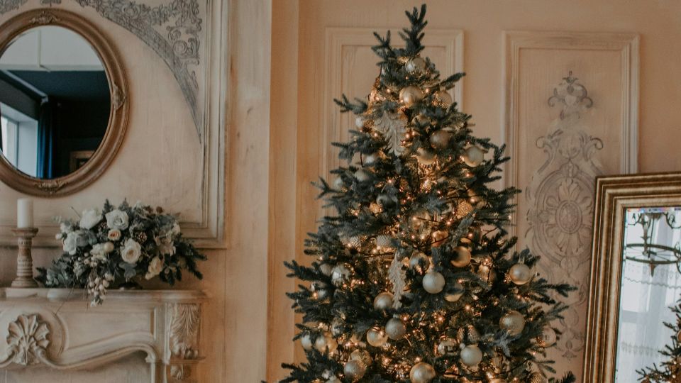 �� ������� ����������� ������� ����: ��� ��� ��� ���������� � ����