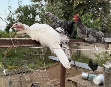 � ������ �� ������. 13 ������ � ��������� ����� �������, ��� ������������ �������