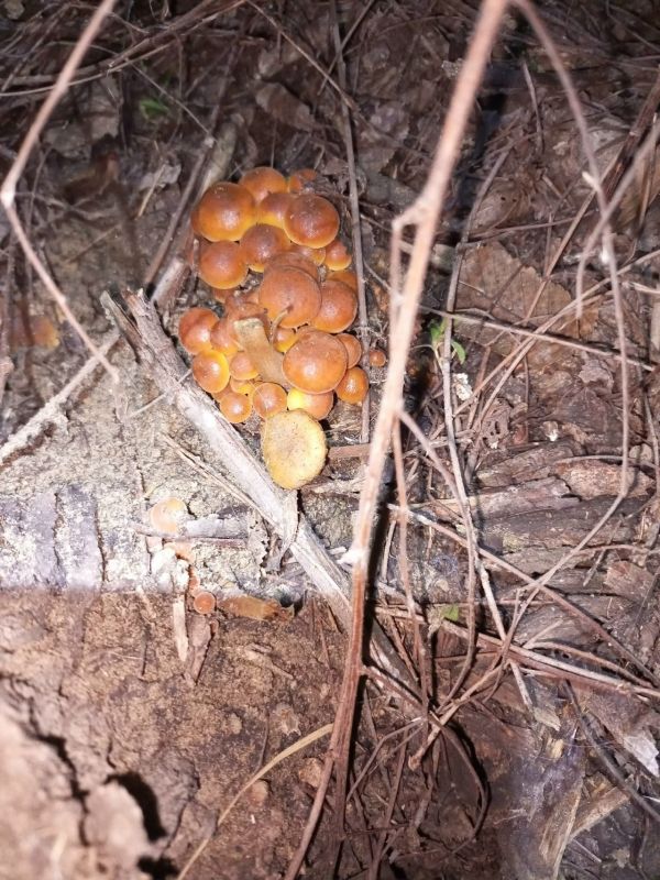 � ������������ ������� ����� ������� ������� �����