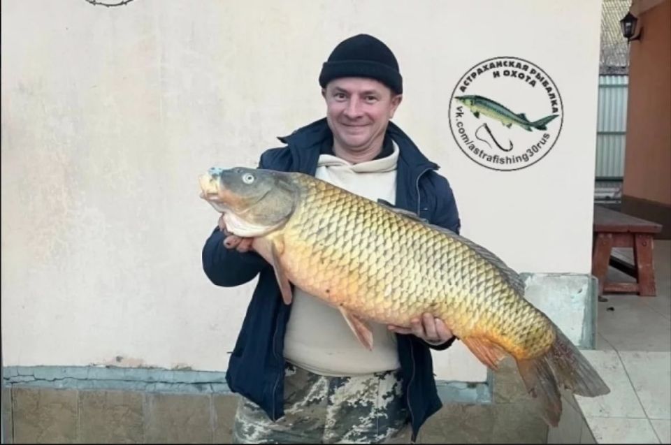 �� ���� ����� ���������� ������� ����������� ������ ����� ����� 10 ��