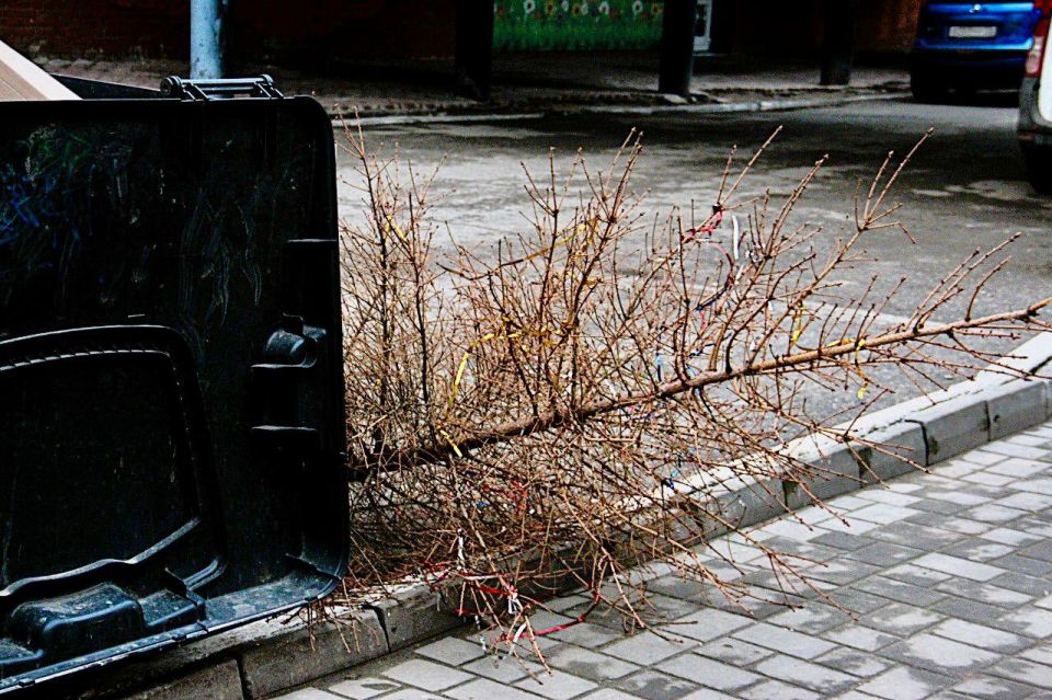 ����� ��������� ����� ������� �������� ������� ��������� ������� ������� ����� � ������������ - ��� ���������� ������ ������ �� ���������� ������� � �������