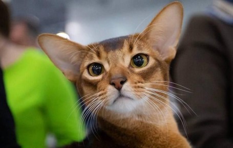 ��� �� ������ ���� ������� �������� ��������� ��������� �����