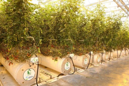 ������������ ��������� �������� ����� ������� ����� 23 ��� ������ ������������ �� ����������� ������