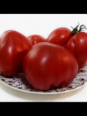 ����� ������� ����: ��������� ������� ��� ��������� ������������