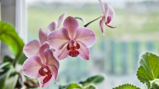 ������� ����� ����� ��������� ���� ������� �������: ���� ������ ���