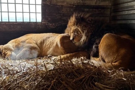 ������� ����� �� ��������� �������� ��������� ������