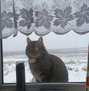 � ������ �� ������. 20 ������ � ��������� ������������ ���������� ����������, ��� ������������ �������