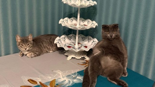 � ������ �� ������. 22 ������ � ��������� ����� �������, � ������������