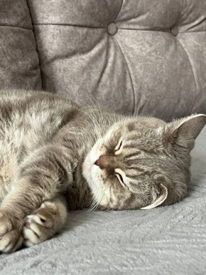 � ������ �� ������. 23 ������ � ��������� ����� �������, ��� ������������ �������