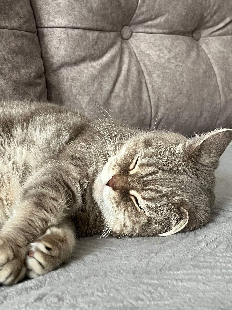 О погоде на завтра. 23 января в Астрахани будет облачно, без существенных осадков