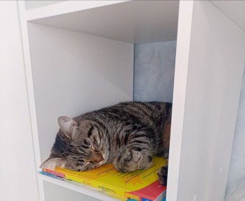 О погоде на завтра. 24 января в Астрахани будет облачно, возможен слабый снег