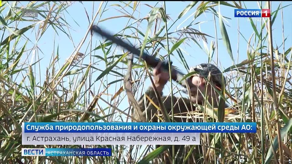 В Астраханской области завершился сезон охоты