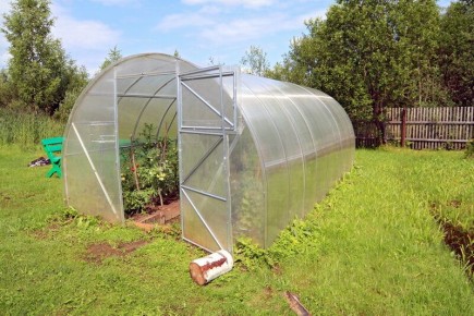 ������ ������ � ��� ��������� ��������� �� �������� � ���������� ����