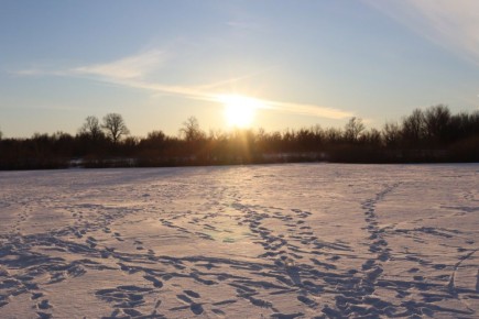 ����� �� �� � ������������ ������� ������