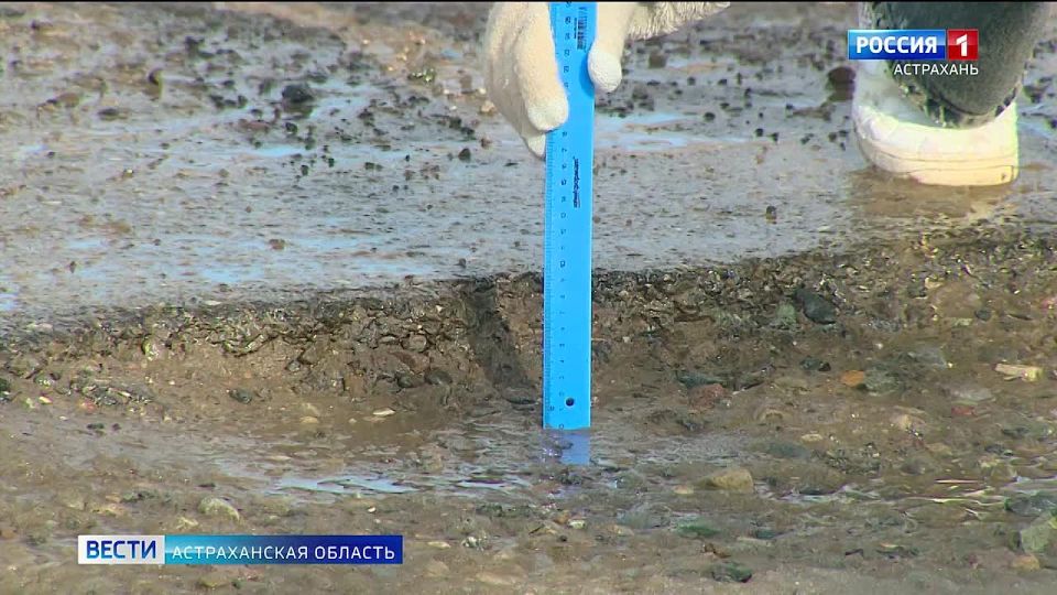 ����� �� ������� �������� �� ��������� ������ 3-�� ������� ���������� � ���������