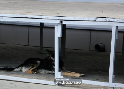 ��������� ���������� ������� 20 ����� ������ �� ���� ��������� ������