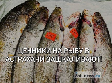 ���� �� ���� � ��������� ���������� �����