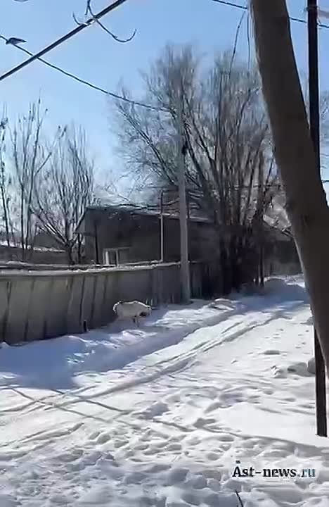 ��� ���� ������ ������ ������������� �� ������� ��������� � ��������� ������ ���������