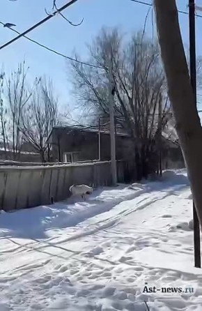 ��� ���� ������ ������ ������������� �� ������� ��������� � ��������� ������ ���������