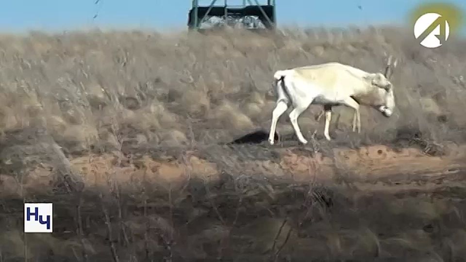 � ��������� ���� ��������� �������� � ������������ ������� ������ ��������������