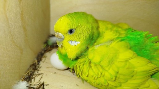 � ������ �� ������. 28 ������ � ��������� ������������ ���������� ����������, ��� ������������ �������