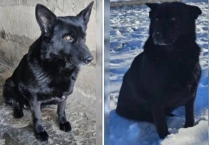 ������������ ������� ������� ��������� ����� � ������ ����