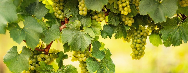 ��������: ������ ��������� �� ������