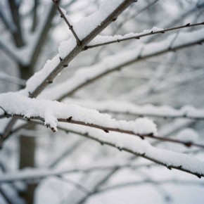 � ������������ ������� ������ ��������� �� -2�