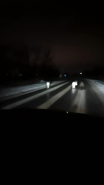 ������� ����������� ����� � ������